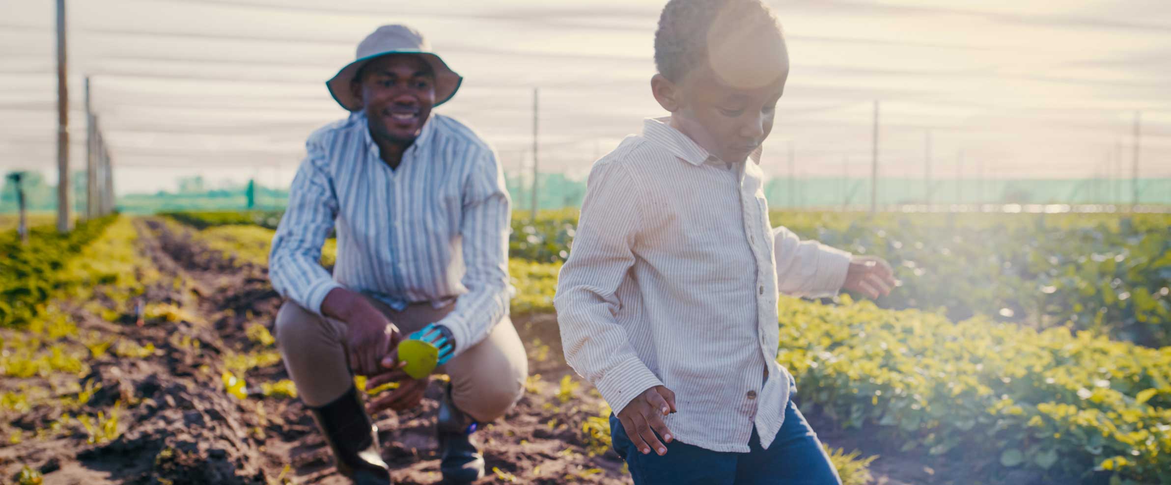 father and child working and laughing in a large-scale, shaded vegetable field