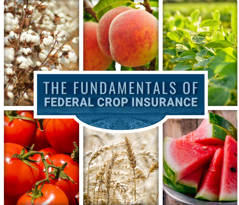 The Fundamentals of Federal Crop Insurance