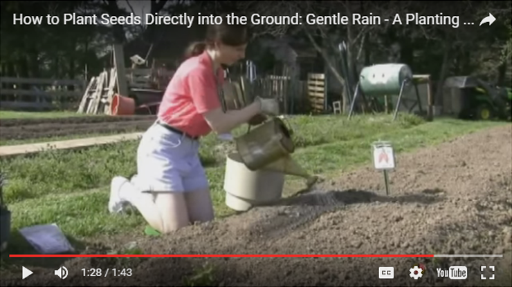 how-to-plant-seeds-directly-into-the-ground-gentle-rain-a-planting